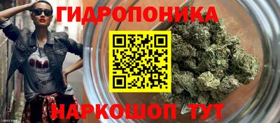 стаф Лесосибирск