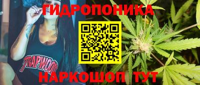 стаф Лесосибирск