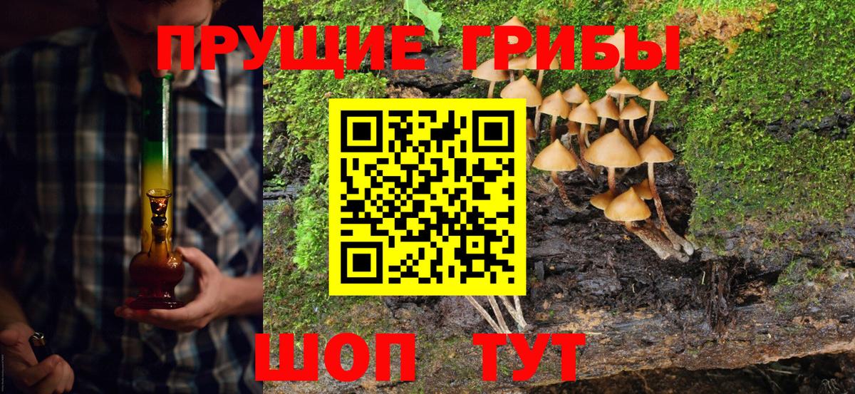 Выкса  Галлюциногенные грибы GOLDEN TEACHER  Вход с VPN  Псилоцибиновые грибы мухоморы 